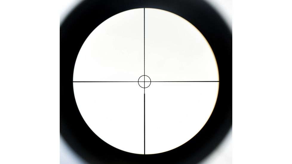 Leupold VX-6 1-6x24mm Rifle Scope, CDS, Matte Black, Illum Firedot Circle 112319