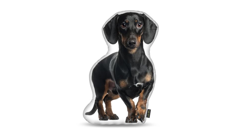 Lifelike Pillows Custom Dog Shaped Pillow, Dachshund, Black, 16 inch Tall/4 inch Thick, DOG8-SH-16