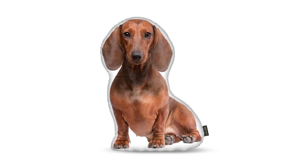 Lifelike Pillows Custom Dog Shaped Pillow, Dachshund, Brown, 16 inch Tall/4 inch Thick, DOG9-SH-16