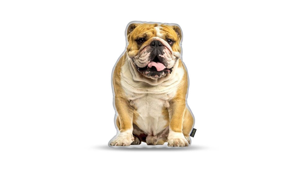 Lifelike Pillows Custom Dog Shaped Pillow, English Bulldog, 16 inch Tall/4 inch Thick, DOG10-SH-16