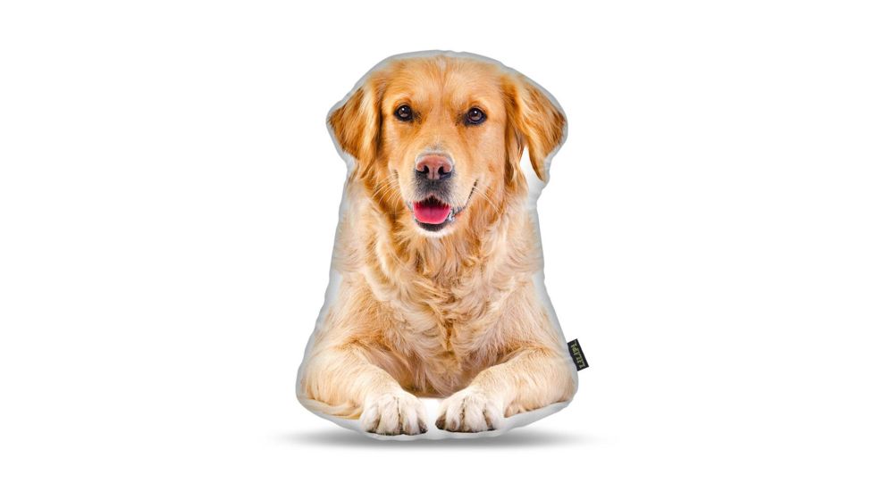 Lifelike Pillows Custom Dog Shaped Pillow, Golden Retriever, 16 inch Tall/4 inch Thick, DOG14-SH-16