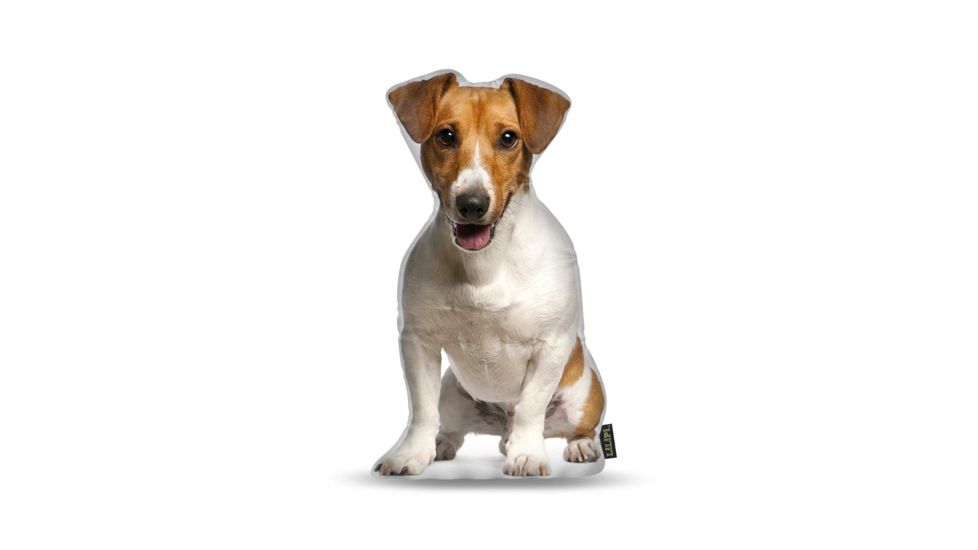 Lifelike Pillows Custom Dog Shaped Pillow, Jack Russell Terrier, 16 inch Tall/4 inch Thick, DOG17-SH-16