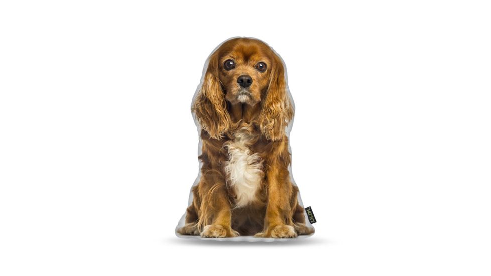 Lifelike Pillows Custom Dog Shaped Pillow, King Charles, Brown, 16 inch Tall/4 inch Thick, DOG19-SH-16