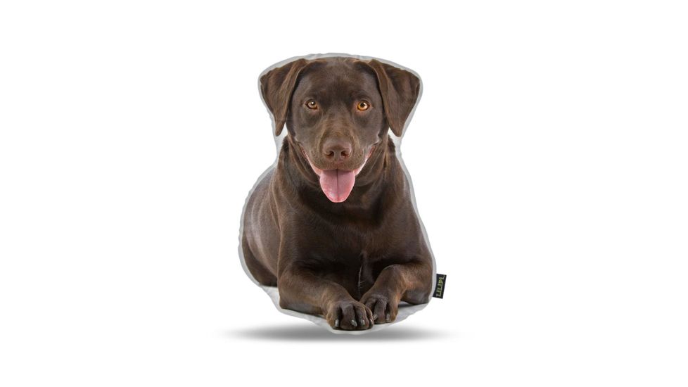 Lifelike Pillows Custom Dog Shaped Pillow, Chocolate Labrador, 16 inch Tall/4 inch Thick, DOG20-SH-16