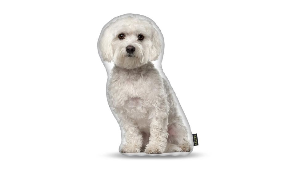 Lifelike Pillows Custom Dog Shaped Pillow, Maltese, 16 inch Tall/4 inch Thick, DOG21-SH-16