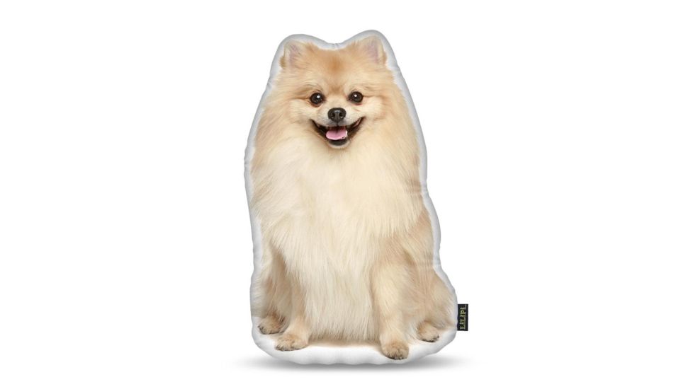 Lifelike Pillows Custom Dog Shaped Pillow, Pomeranian, 16 inch Tall/4 inch Thick, DOG22-SH-16
