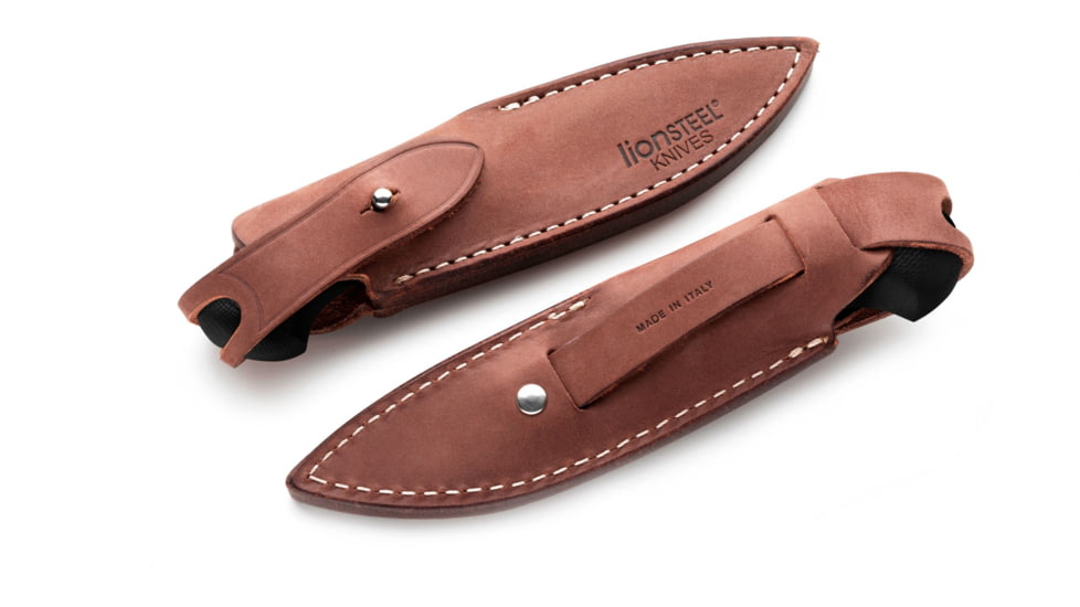 Lionsteel Willy Fixed Blade Knife, 3.1in, M390 Steel, Drop Point, G10/Ti Handle, Black, WL1 GBK