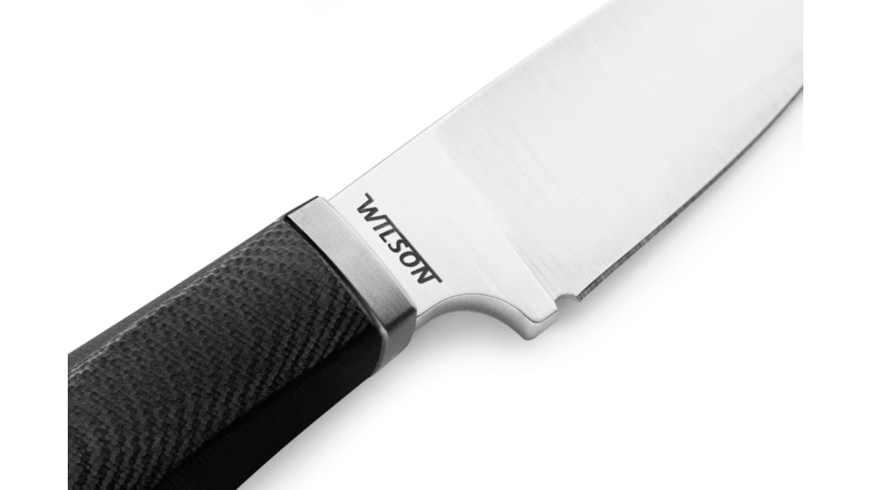 Lionsteel Willy Fixed Blade Knife, 3.1in, M390 Steel, Drop Point, G10/Ti Handle, Black, WL1 GBK
