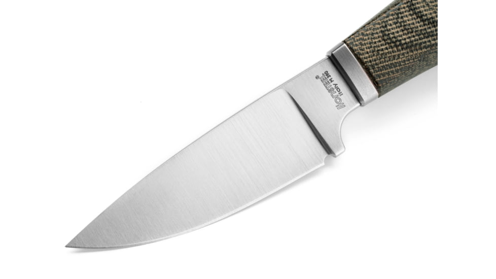 Lionsteel Willy Fixed Blade Knife, 3.1in, M390 Steel, Drop Point, Micarta/Ti Handle, Green Canvas, WL1 CVG