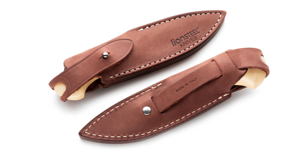 Lionsteel Willy Fixed Blade Knife, 3.1in, M390 Steel, Drop Point, Micarta/Ti Handle, Ivory, WL1 MW
