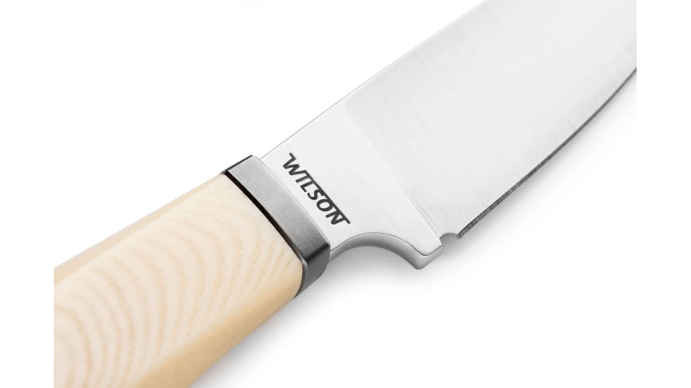 Lionsteel Willy Fixed Blade Knife, 3.1in, M390 Steel, Drop Point, Micarta/Ti Handle, Ivory, WL1 MW