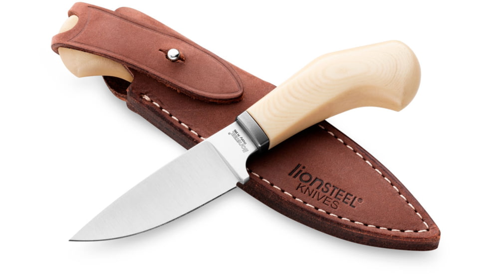 Lionsteel Willy Fixed Blade Knife, 3.1in, M390 Steel, Drop Point, Micarta/Ti Handle, Ivory, WL1 MW