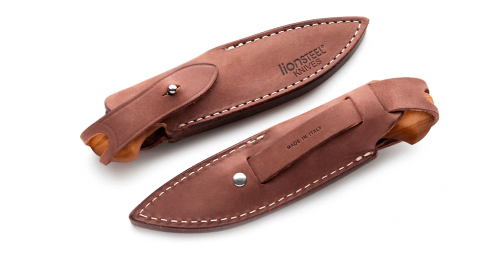 Lionsteel Willy Fixed Blade Knife, 3.1in, M390 Steel, Drop Point, Olive Wood Handle, Olive, WL1 UL