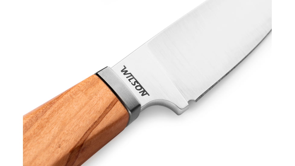 Lionsteel Willy Fixed Blade Knife, 3.1in, M390 Steel, Drop Point, Olive Wood Handle, Olive, WL1 UL