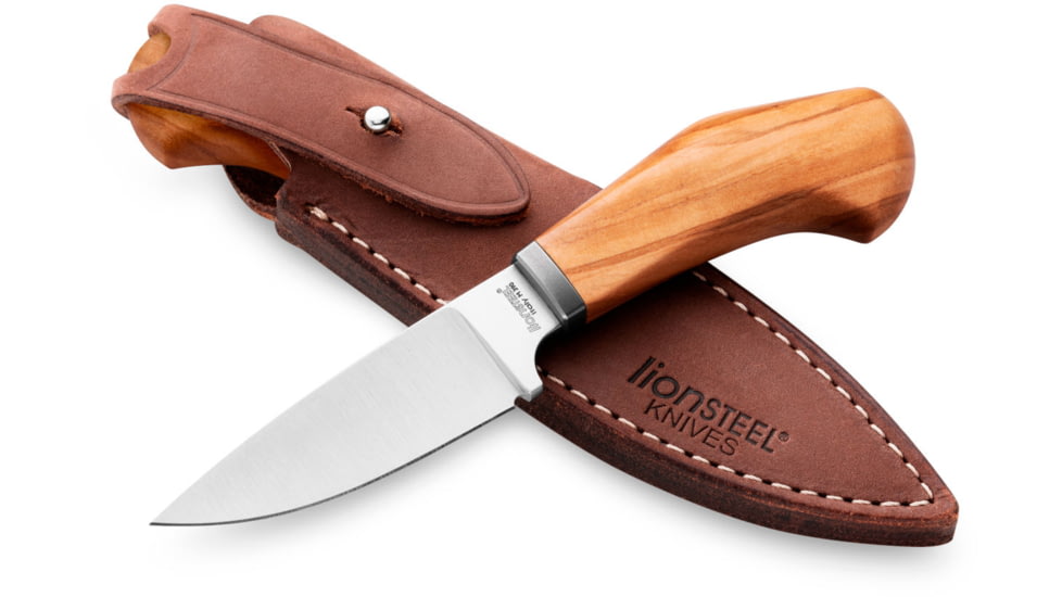 Lionsteel Willy Fixed Blade Knife, 3.1in, M390 Steel, Drop Point, Olive Wood Handle, Olive, WL1 UL