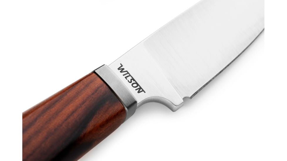 Lionsteel Willy Fixed Blade Knife, 3.1in, M390 Steel, Drop Point, Santos Wood Handle, Santos, WL1 ST