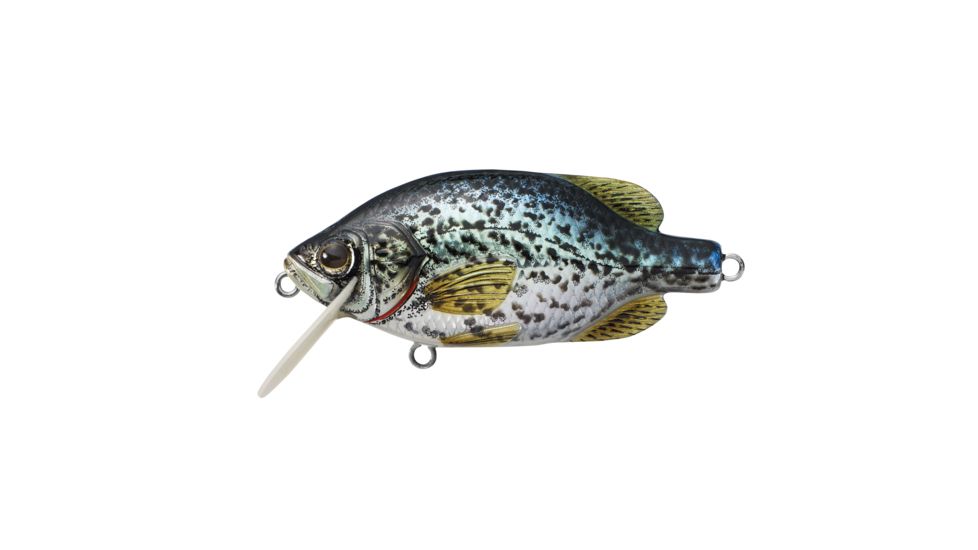 Live Target Crappie FS Crankbait,metallic/gloss,#6 CPF55S102