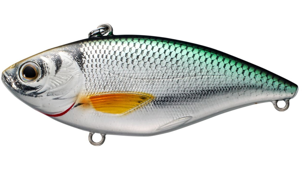 Live Target Golden Shiner Rattlebait