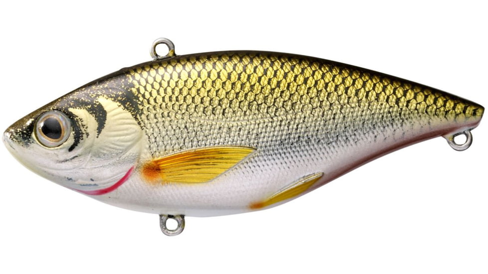 Live Target Golden Shiner Rattlebait