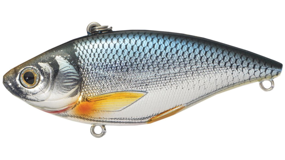 Live Target Golden Shiner Rattlebait