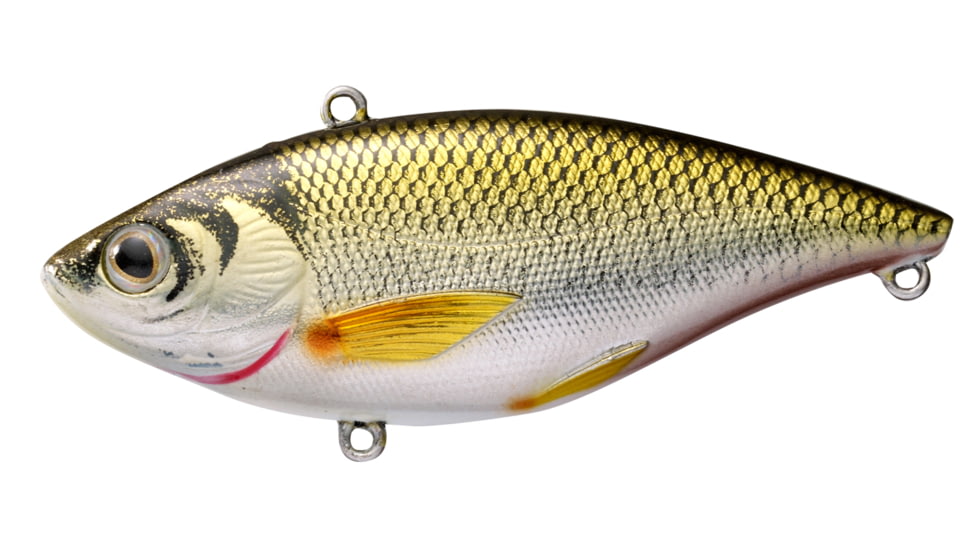 Live Target Livetarget Golden Shiner Lipless Rattlebait, Sinking, Gold/Black, 2 7/8in, 1/2oz, #6 Hook, GS70SK208
