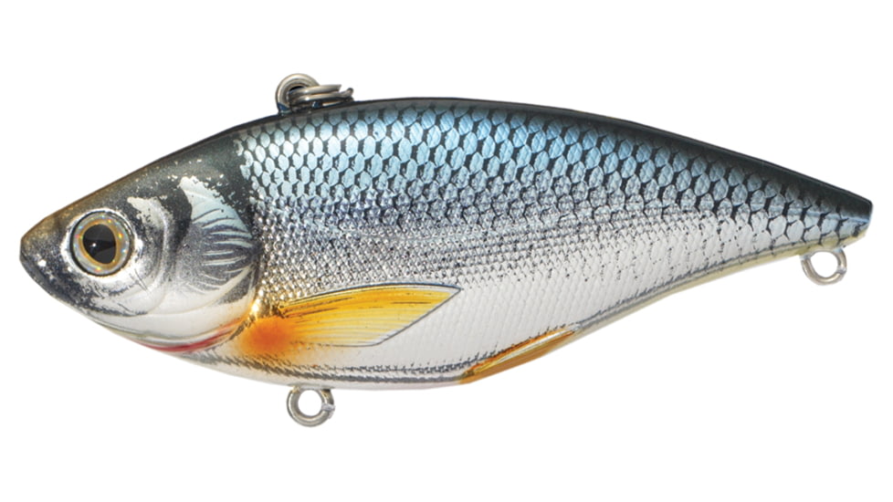 Live Target Livetarget Golden Shiner Lipless Rattlebait, Sinking, Silver/Blue, 2 7/8in, 1/2oz, #6 Hook, GS70SK201