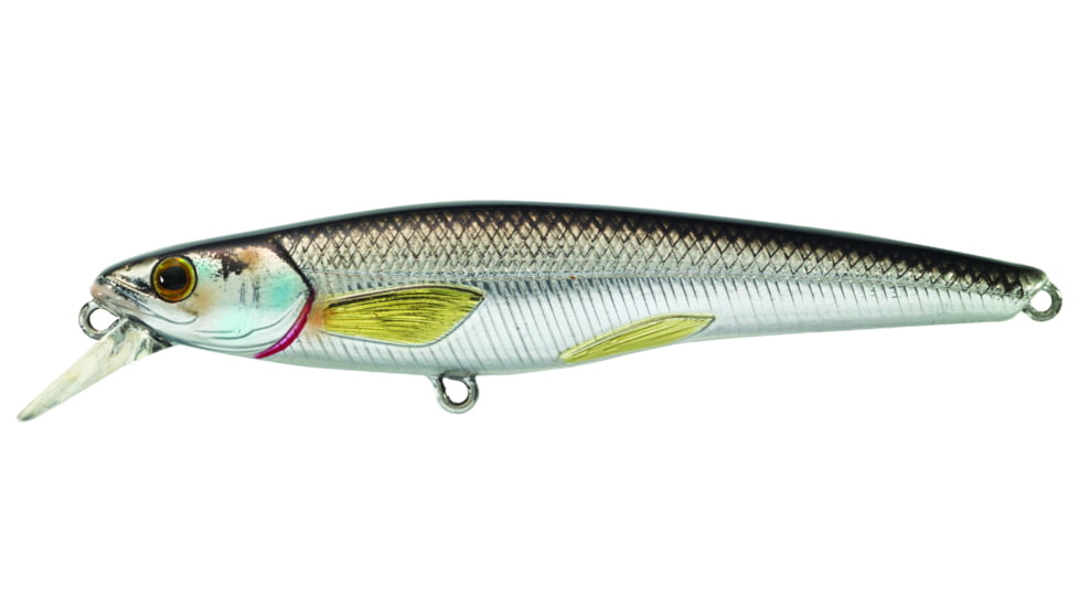 Live Target Livetarget Rainbow Smelt Shallow Dive Jerkbait, 3-4, Suspending, Silver/Black, 3-4, 5/16oz, #6 Hooks, RS91S202