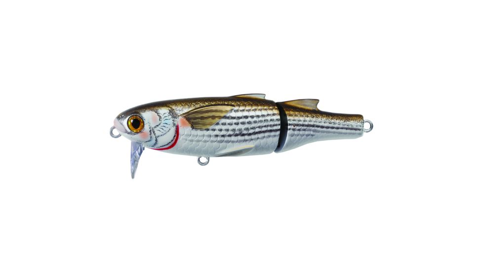 Live Target Mullet Wakebait,natural/matte,#1 MWK115T901