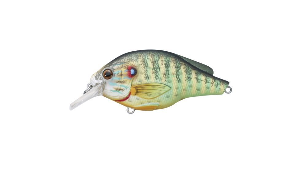 Live Target Pumpkinseed FS Squarebill,natural/matte,6 PSS60S100