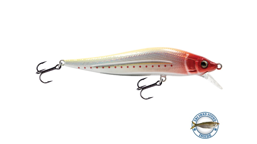 Livingston Lures JerkMaster Jr. Lure, Money Clown, 14164