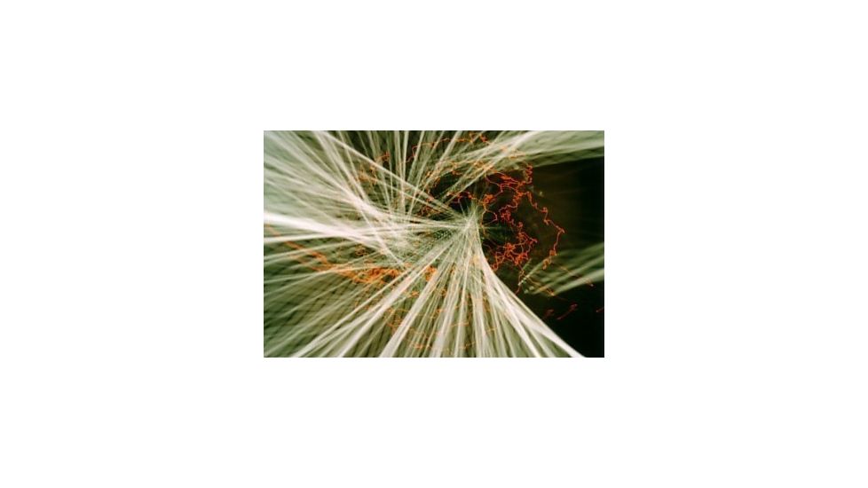 Fun with Color Splash