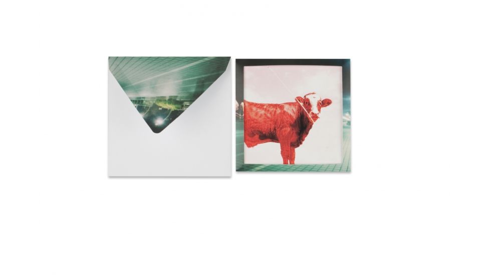 Lomography Journey Frame - Set Small Square 231