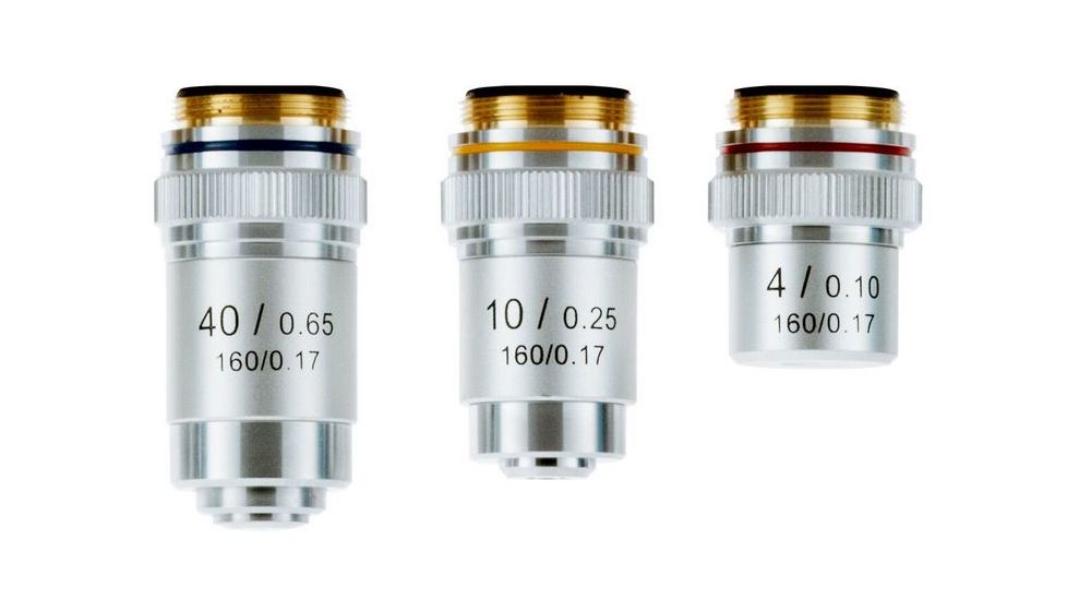 LW Scientific Portable Advanced Student Microscope with 3 Achromat objectives, CREAM EDM-M03A-DALP