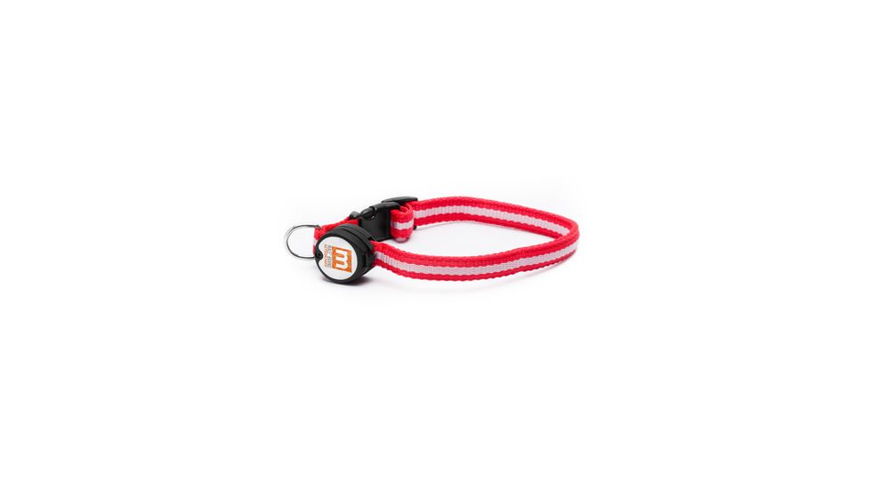 Nite Beams - LED Pet Collar