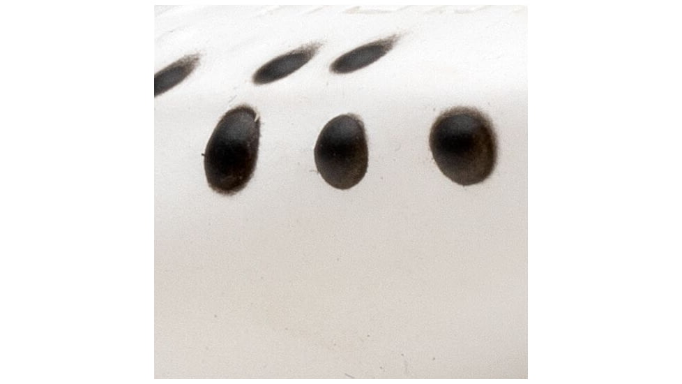 MACH MACH Frog Swimbait, White, MHPKF-204