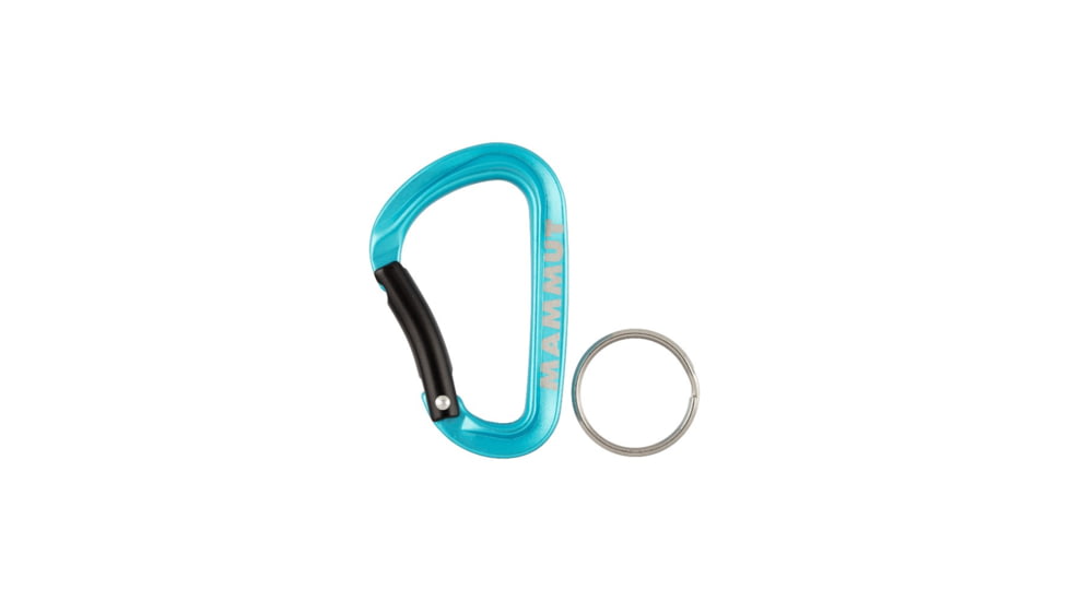 Mammut Mini Carabiner Classic Keylock S, Blue, One Size, 2810-00300-5018-1
