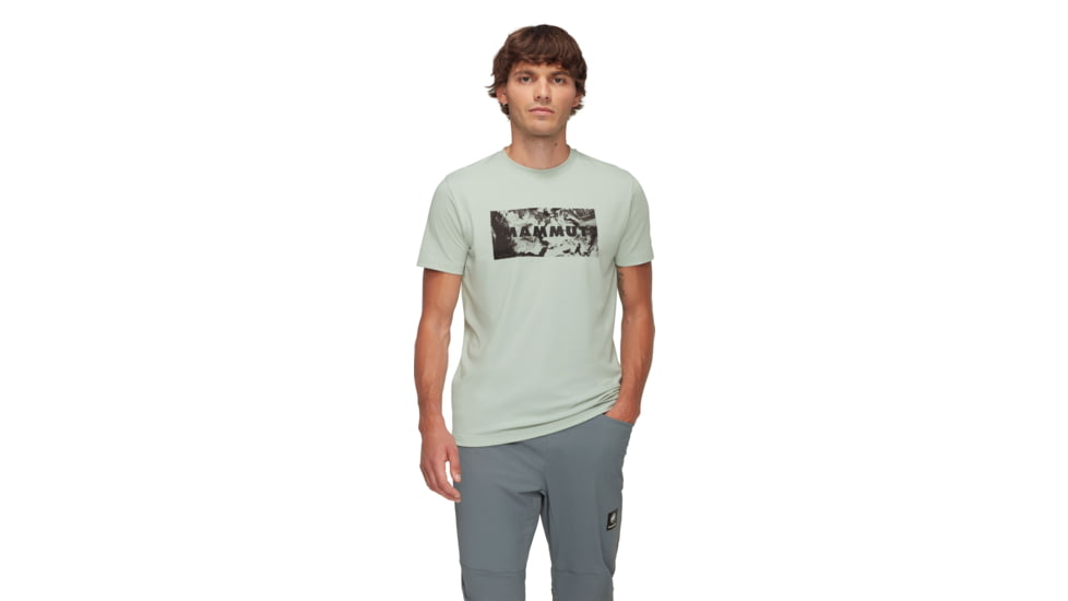 Mammut Trovat Logo T-Shirt - Mens, Silver Sage, S, 1017-06460-1288-113