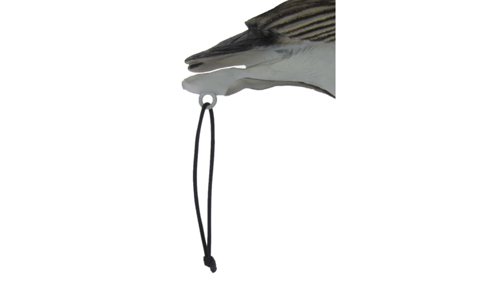 Mayhem Decoys by Heavy Hauler Outdoor Gear Speck Decoy, Painted Head, 0147SPP