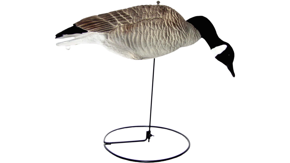 Mayhem Decoys by Heavy Hauler Outdoor Gear Canada goose, Fullbody collapsible decoy, Painted head, Canada goose, 0147CP