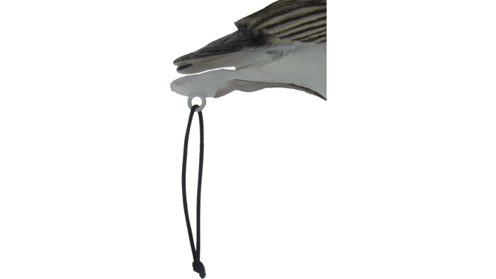 Mayhem Decoys by Heavy Hauler Outdoor Gear Canada goose, Fullbody collapsible decoy, Painted head, Canada goose, 0147CP