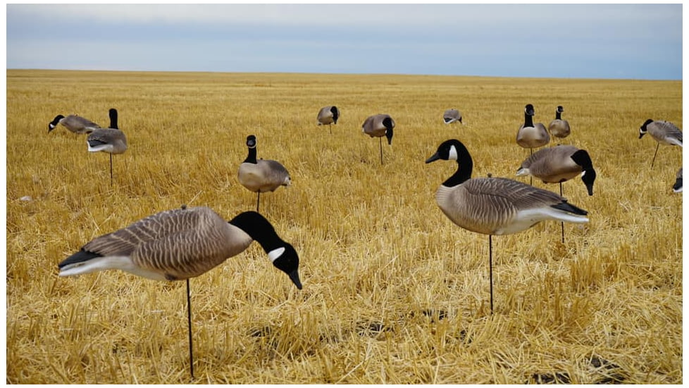 Mayhem Decoys by Heavy Hauler Outdoor Gear Canada Lesser Decoy, Flocked Head, 0147CFL