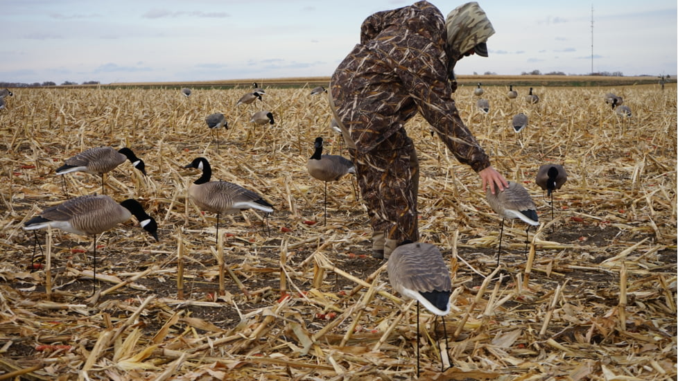 Mayhem Decoys by Heavy Hauler Outdoor Gear Canada Lesser Decoy, Flocked Head, 0147CFL