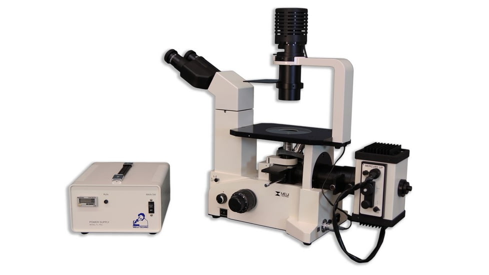 Meiji Techno Binocular Inverted Epi-Fluorescense Biological Microscope, TC-5500