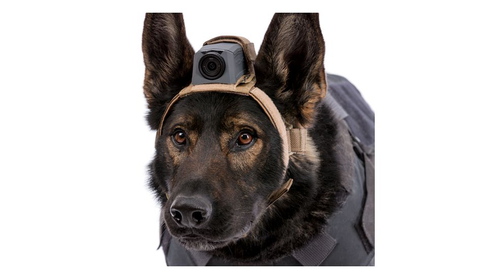MOHOC K9 Mount, Black, One size fits all MH-K9BK