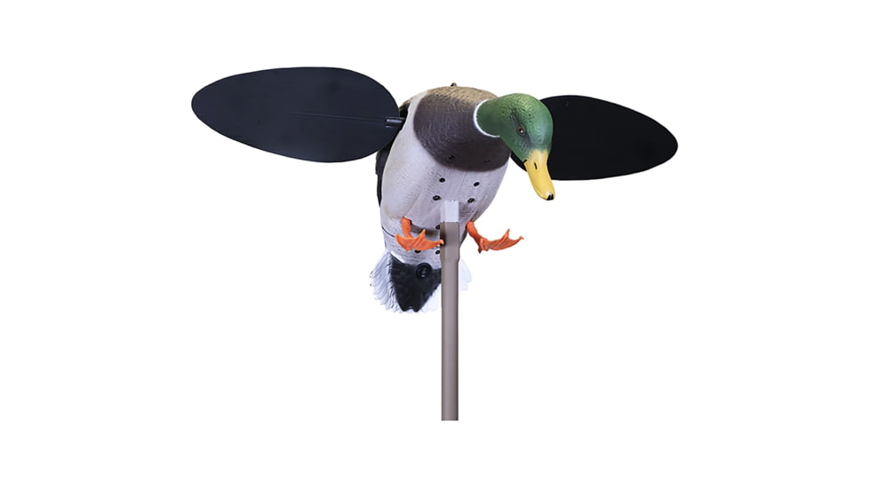 Mojo Baby Drake 2.0 Decoy, Mallard Drake, HW2566