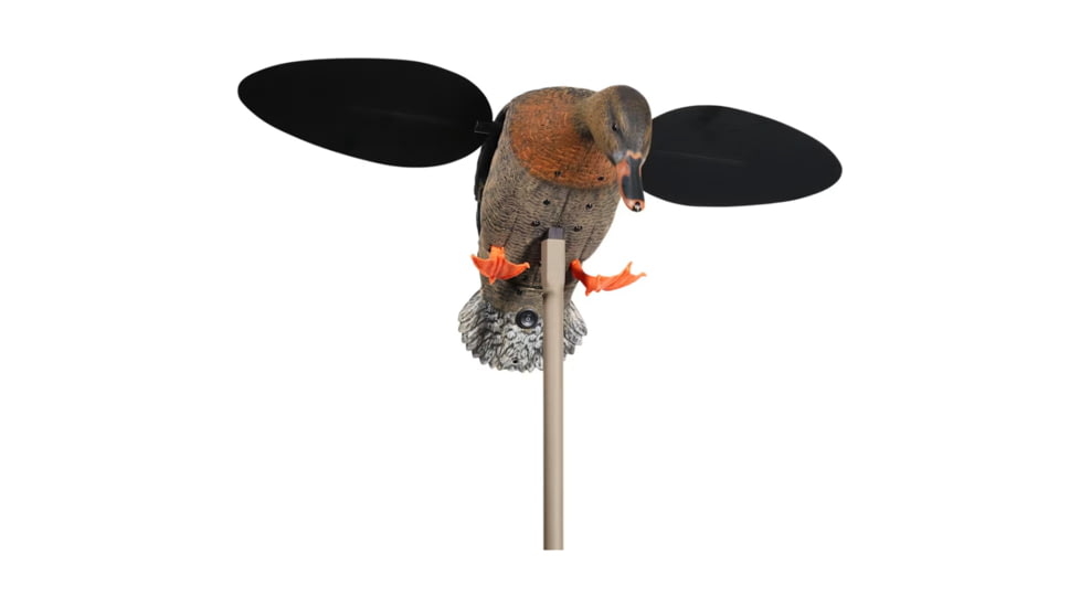 Mojo Baby Hen 2.0 Decoy, Mallard Hen, HW2567