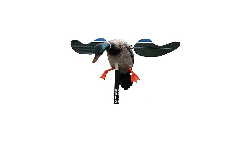 MOJO Baby Mallard Decoy, Drake, HW4401