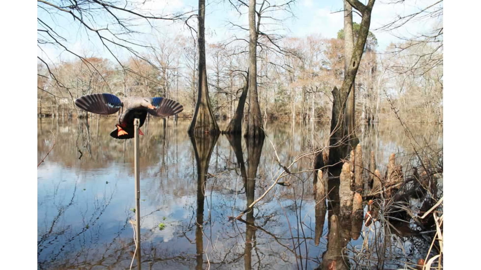 Mojo Elite Series Mini Mallard Hen Decoy