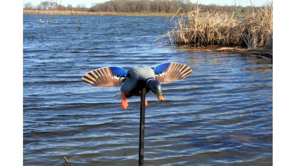 Mojo Es Mini Mallard Drake Decoy w/ Remote, Mallard, HW2487
