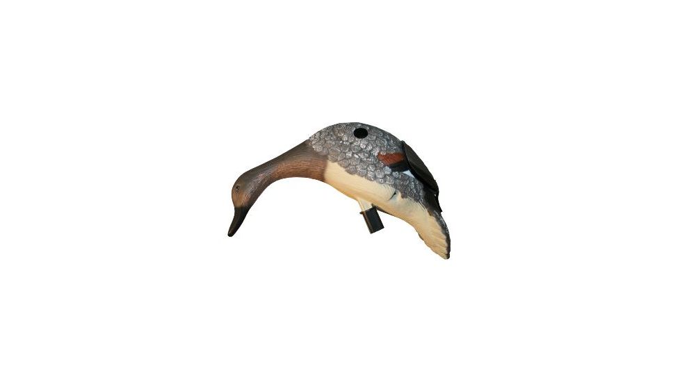 Mojo Gadwall Decoy 80375